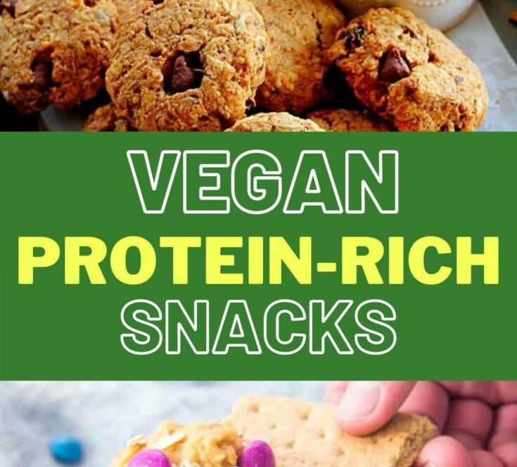 Vegan & Vegetarian Snacks